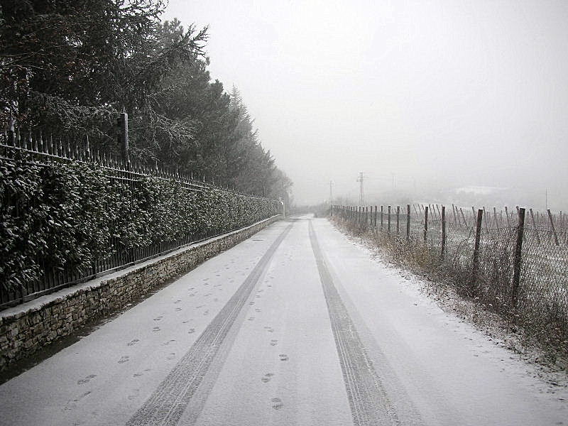 Panorami innevati